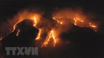 Cháy xảy ra tại rừng mưa Amazon ở bang Tocantins, Brazil ngày 17/8/2019. (Nguồn: THX/TTXVN)