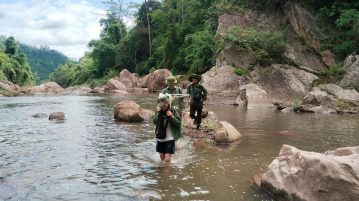 Giữ rừng giữa đại ngàn Mường Nhé