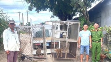 Công an tiếp nhận 2 cá thể khỉ do người dân giao nộp